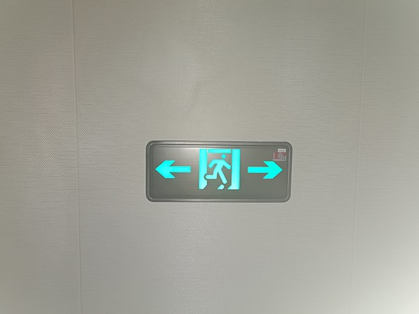 在大型商场中，集中控制智能疏散的优势何在？